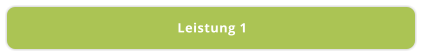 Leistung 1